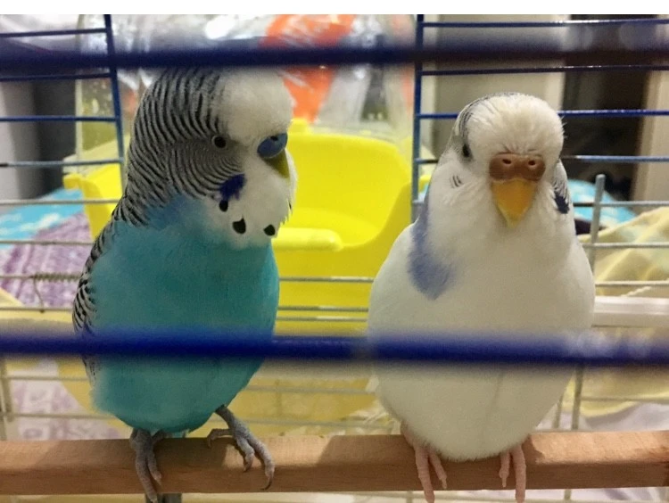 Seyahate Çıkanlar İçin Pratik Bilgiler